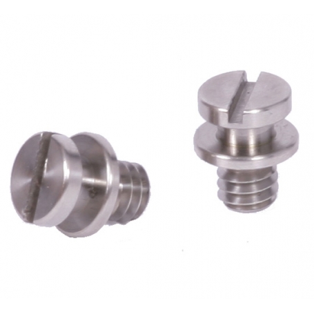 Ensemble de deux vis pour sangle