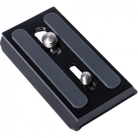 Plaque caméra (MINI)